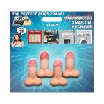 aimants-penis-2.jpeg