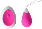 coco-vibrant-à-manette.jpg