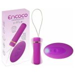 coco-à-manette-encoco-vivilo.jpg
