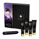 coffret-coquine-geisha-shunga.jpeg