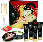 kit-shunga-secret-de-geisha.jpg