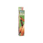 pompe-à-penis-xl.jpg