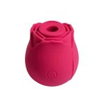 rose-à-succion-pour-clitoris-intimately-gg.jpg