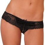 standard-rene-rofe.jpg